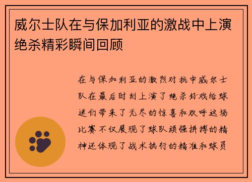 威尔士队在与保加利亚的激战中上演绝杀精彩瞬间回顾