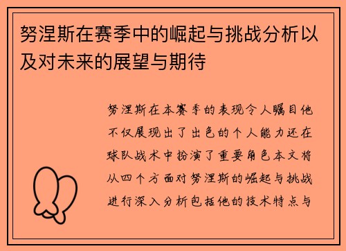 努涅斯在赛季中的崛起与挑战分析以及对未来的展望与期待